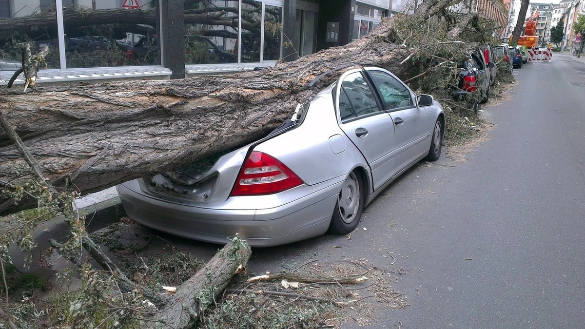 car_insurance__1644582666515_1670320041131_1670320041131