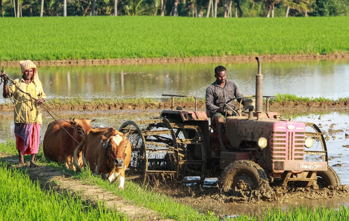 Farmer-climate-action